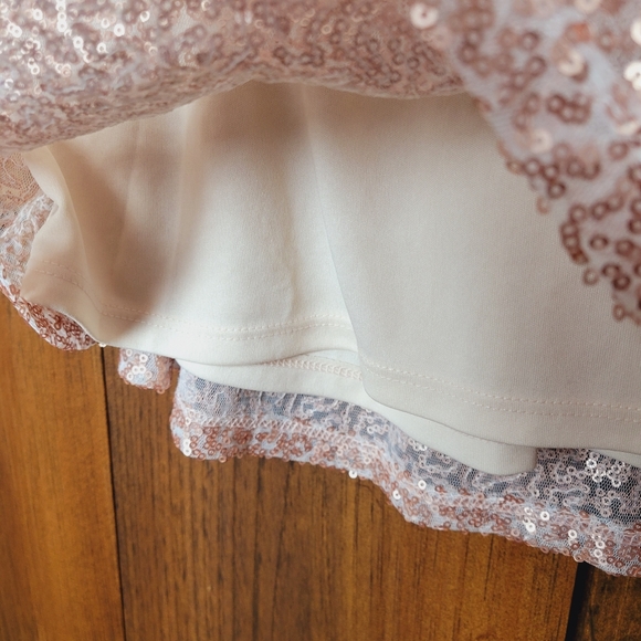 NWT AEO Rose Gold Sequin Mini Skirt - Picture 7 of 15